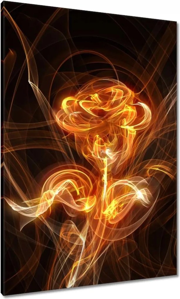 Vászonkép 70x100 Lángoló fraktál rózsa