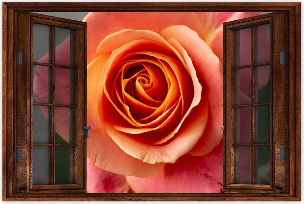 Poszterek 90x60 Rózsa Virág Virágok Rózsa