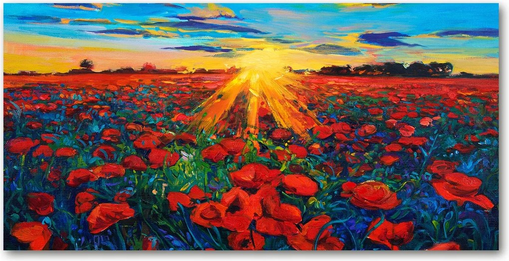 Fotó kép edzett üveg pipacs mező 140x70