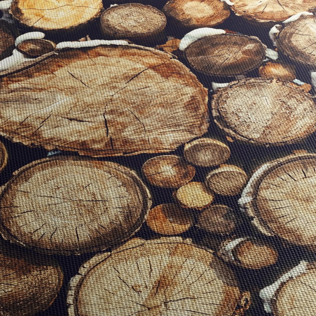 Kép - Fa a hóban (150x105 cm)
