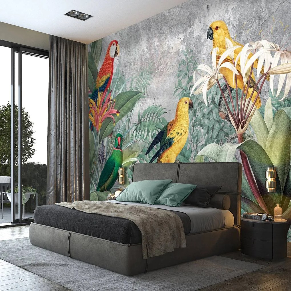 Fotótapéta - Papagájok (152,5x104 cm)