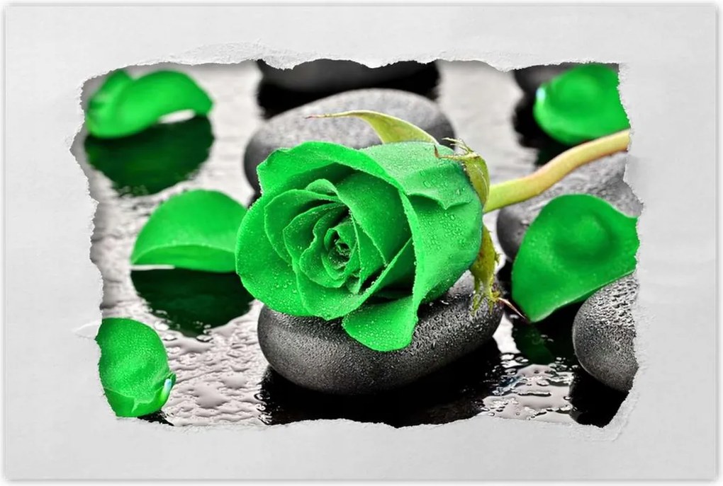 Poszterek 90x60 Zöld rózsa kövek
