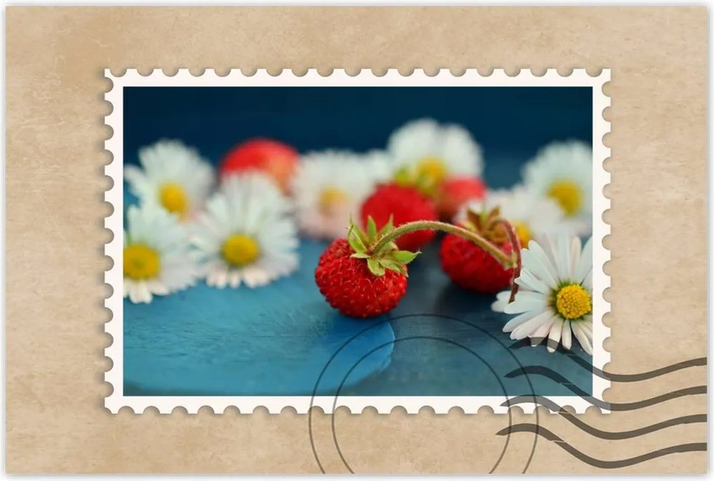 Poszterek 90x60 Vízszintes és margaréta