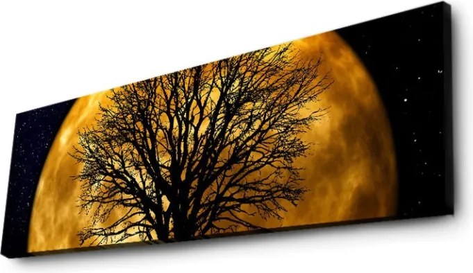 Vászonkép, 30×90 cm – 3090DACT-71