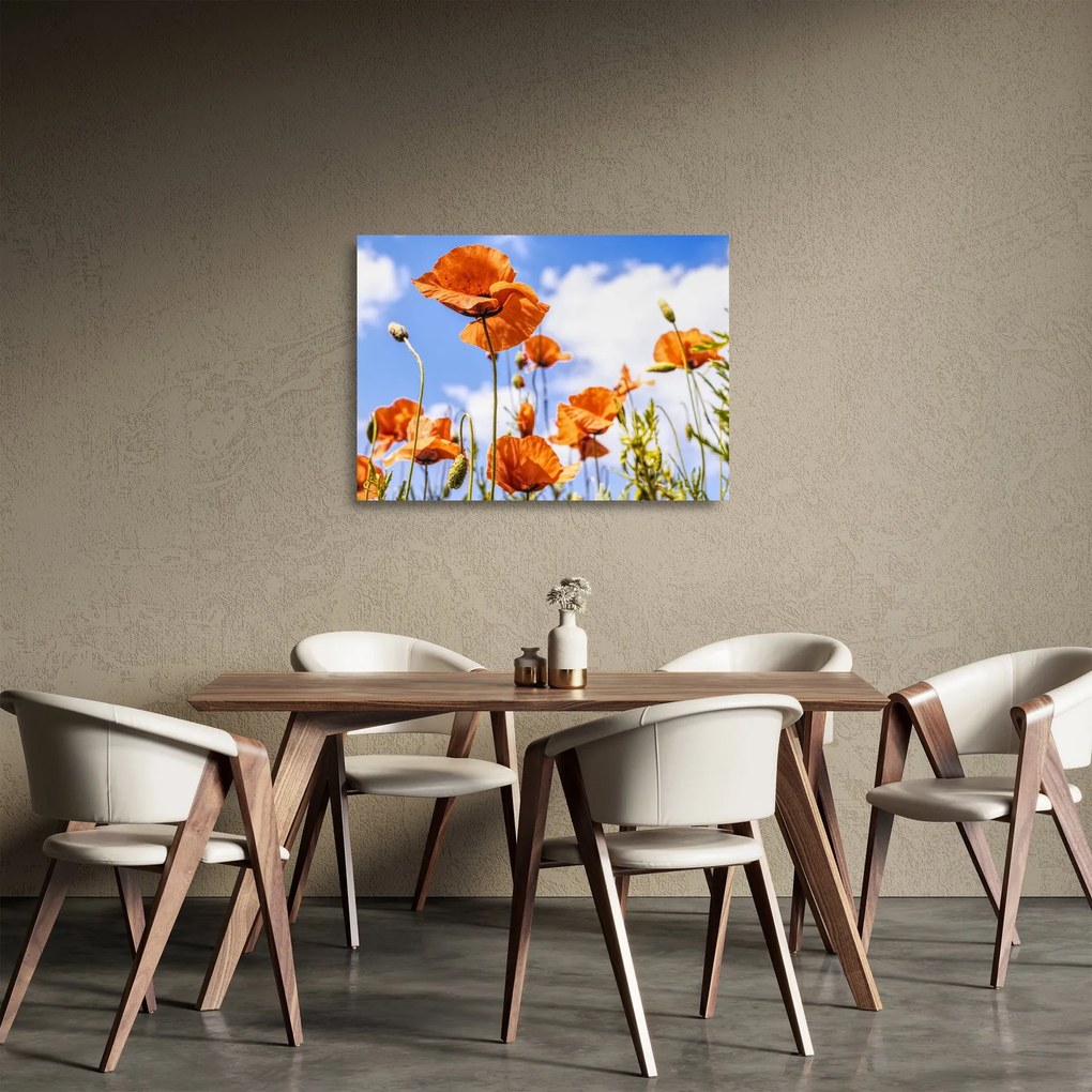 Pipacsok képe (üvegen) (70x50 cm)