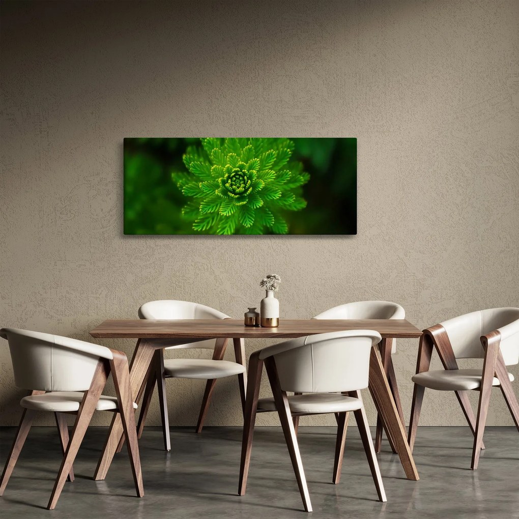 Tűlevelű képé (120x50 cm)