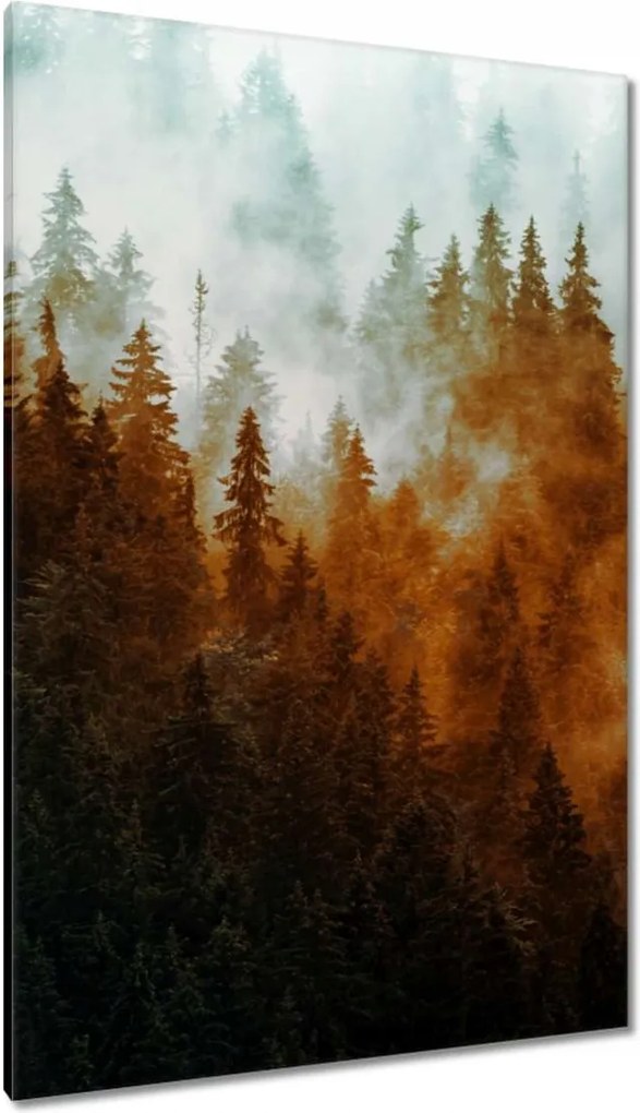 Vászonkép 80x120 Őszi táj Hegyek