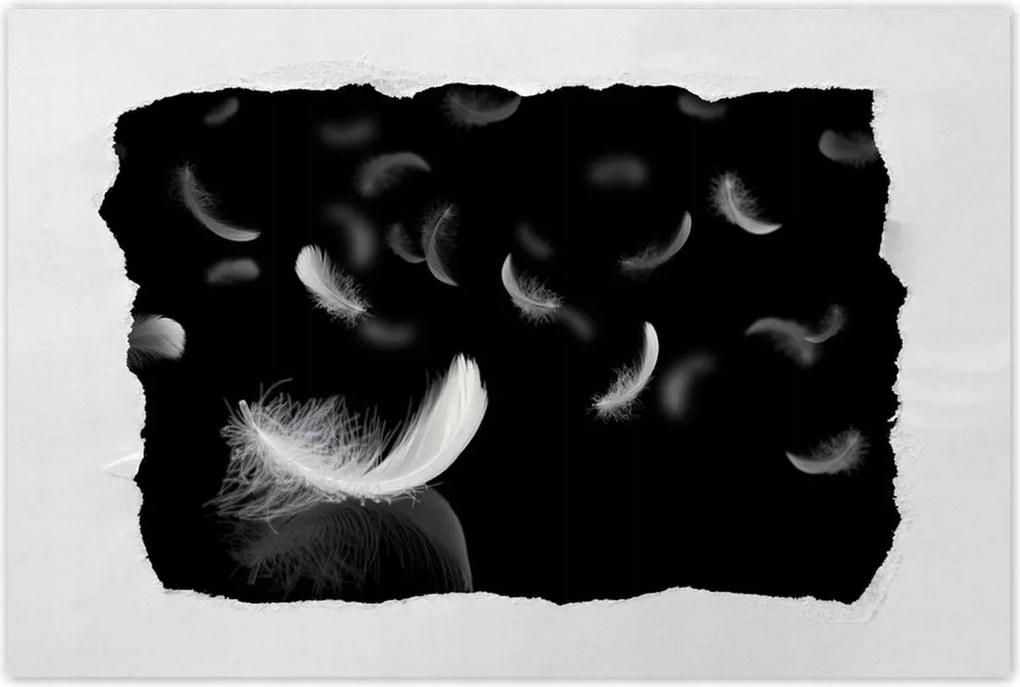 Poszter 60x40 Hulló fehér tollak