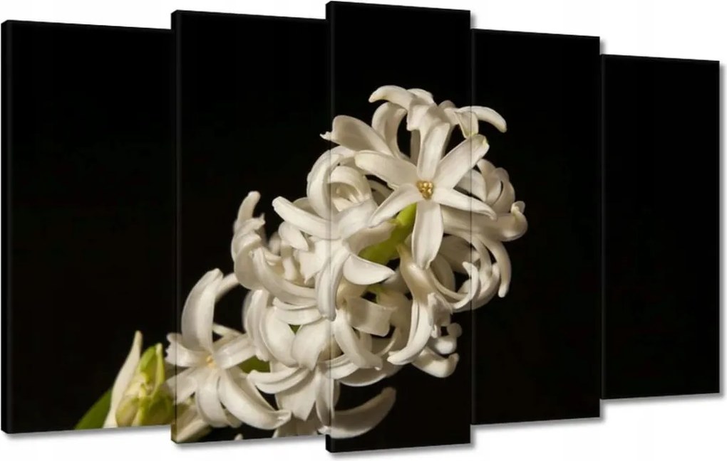 Vászonkép 100x60 Fehér virág