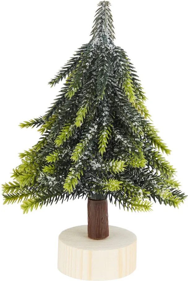 TREE OF THE MONTH fenyőfa talpon 19 cm