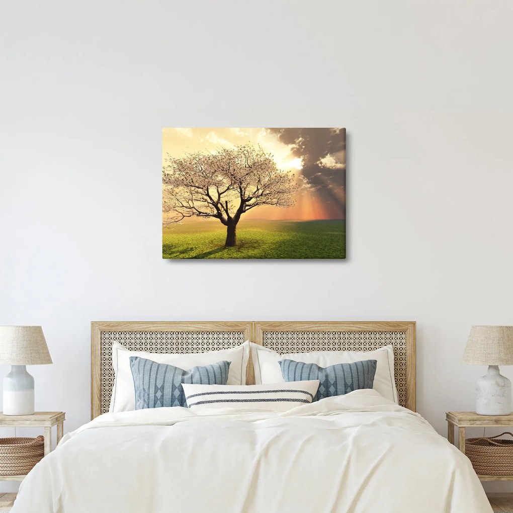 Fa képe a réten (70x50 cm)
