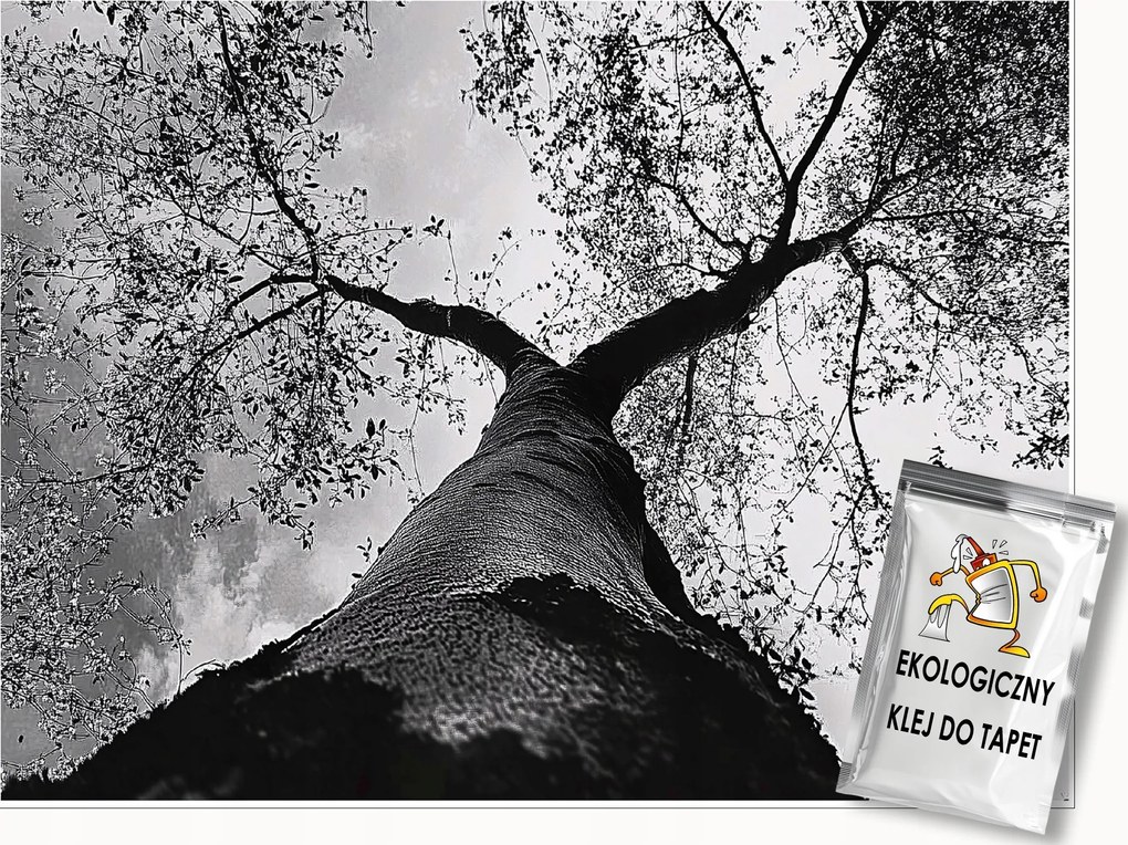 Fotótapéta Fa Fekete-fehér Erdő Hálószoba Nappali Tapéta Flizelina 250x175