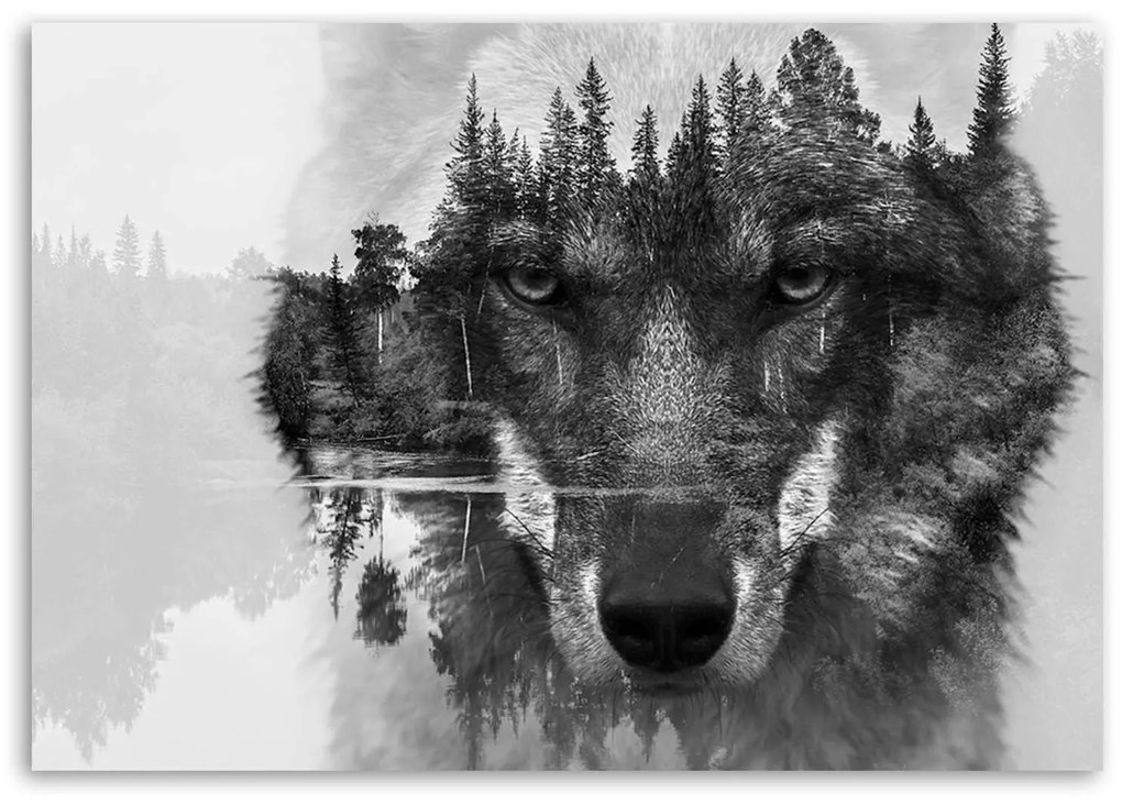 Gario Vászonkép Fekete farkas a háttérben erdõ és tó absztrakt Méret: 100 x 70 cm