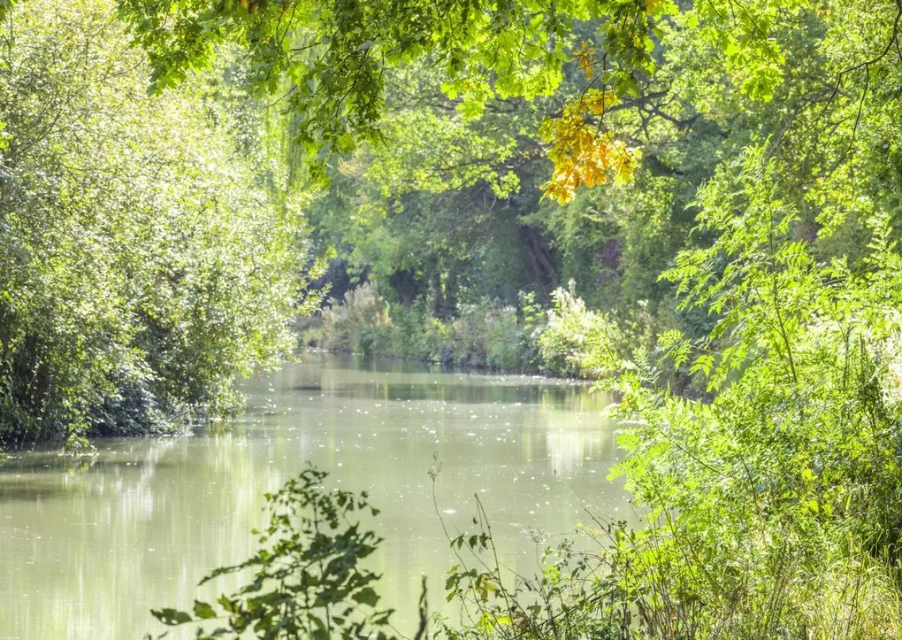 Poszter 84x59,5cm Basingstoke csatorna, Assaf Frank