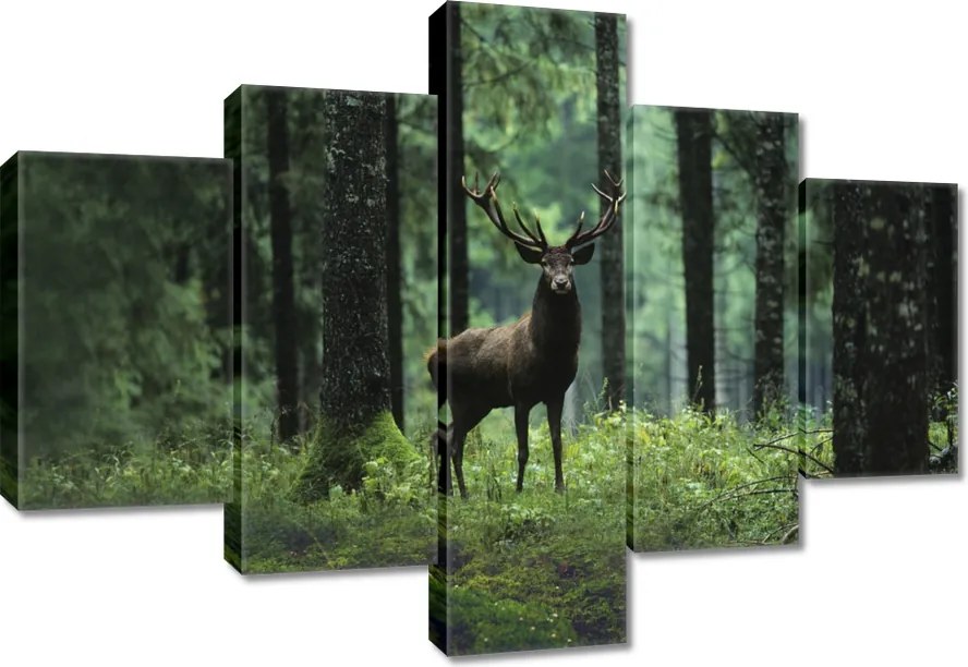 Vászonkép 100x70 Szarvas az erdő közepén