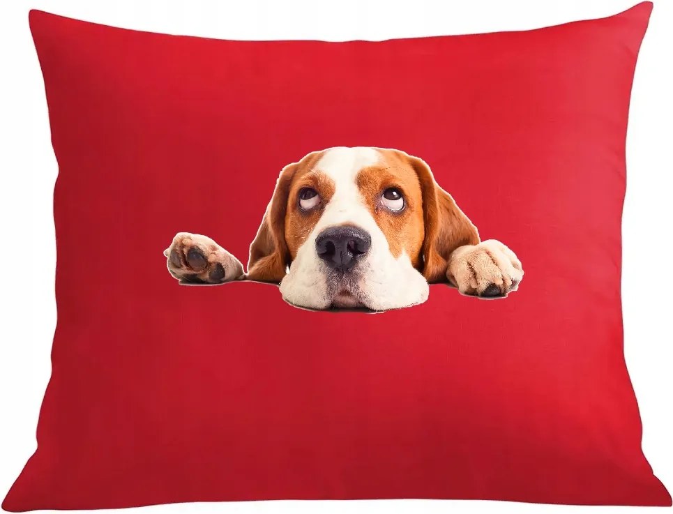 Párna párnahuzat Beagle Kutya mintás