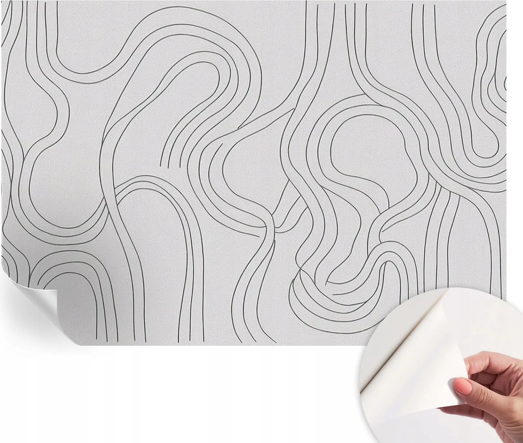 Öntapadós fali fotótapéta Hálószobába Organikus vonalak 152x104 cm