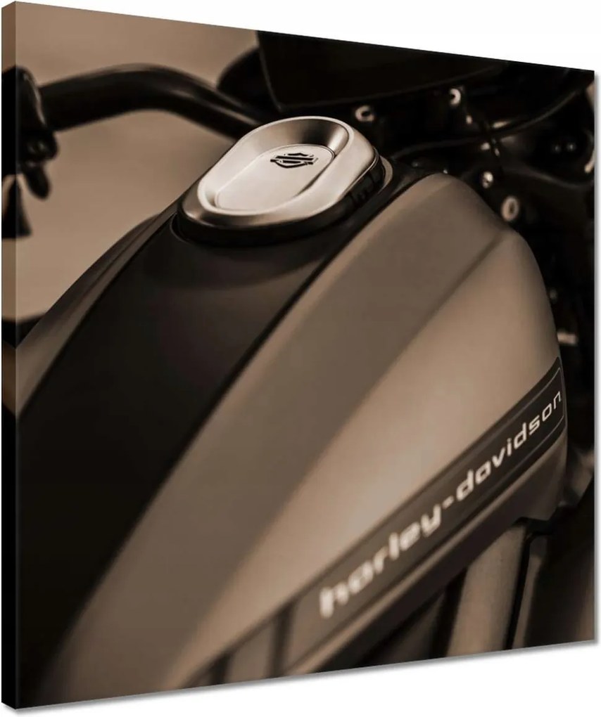 Vászonkép 40x40 Harley Davidson Motorkerékpár