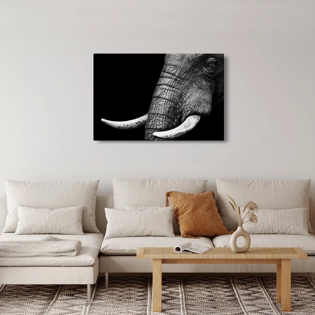 Kép - Elefánt agyar (90x60 cm)