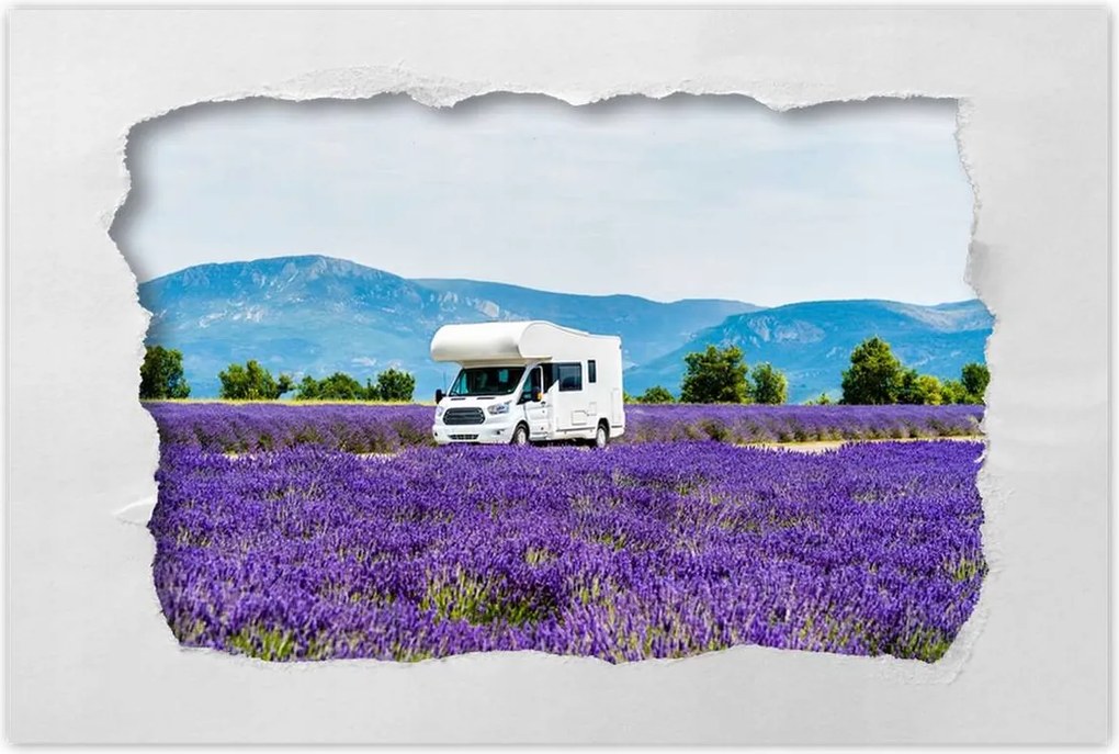 Poszterek 60x40 Lakókocsi a levendulamezők között