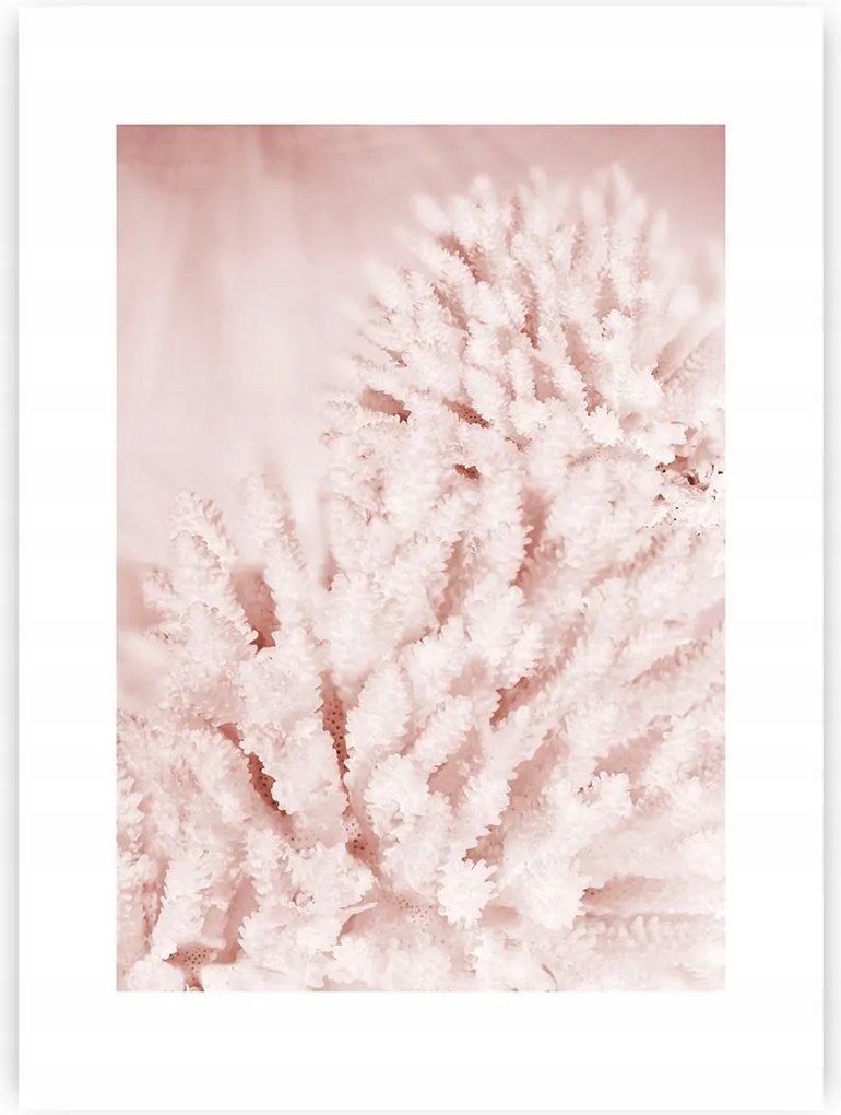 Dekoria Poszter Pastel Pink II