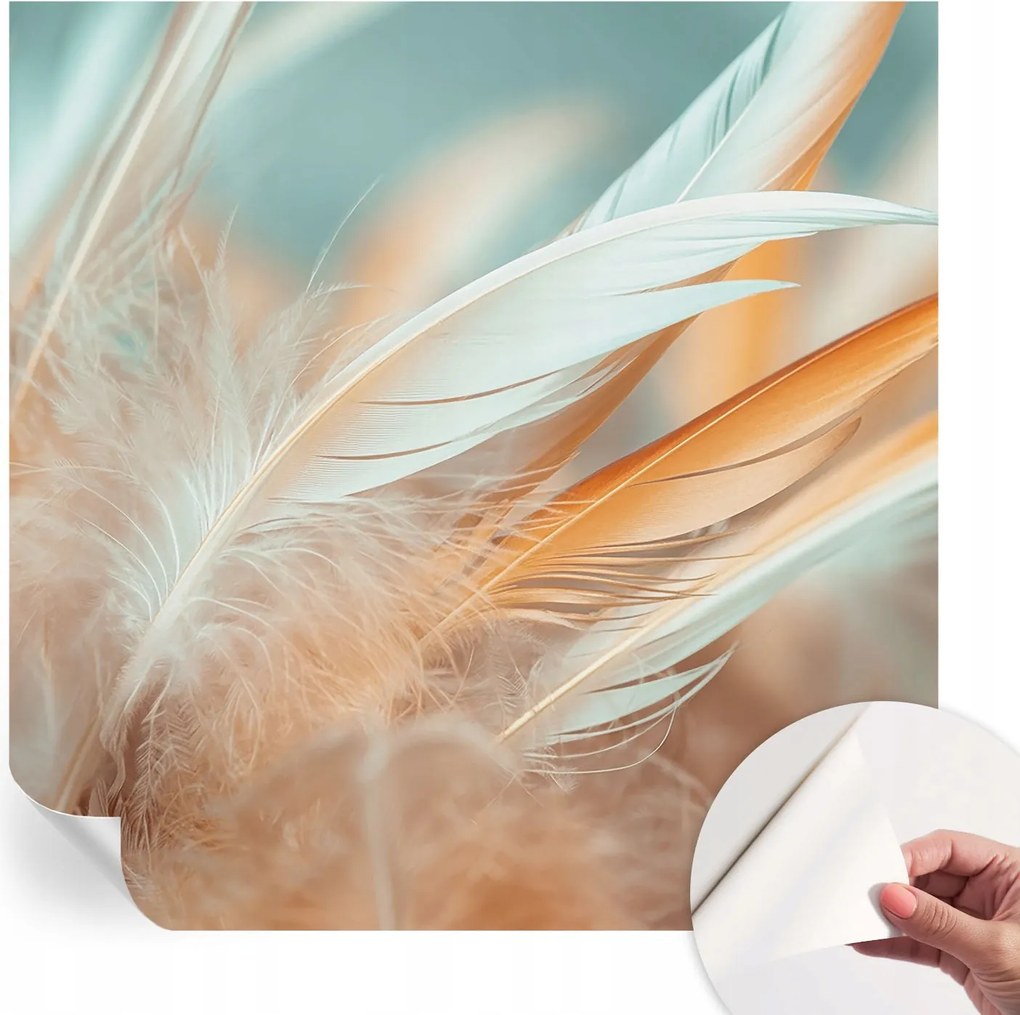 Öntapadós fotótapéta a konyhába Mosható Finom tollak 250x250 cm