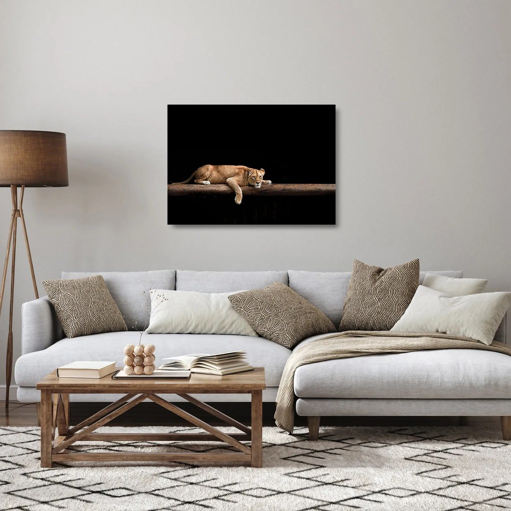 Üveg kép - Lioness (70x50 cm)