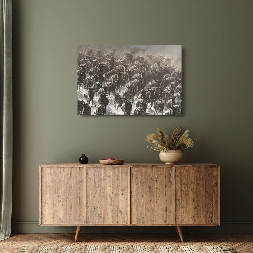 Kép - Gnúcsorda (90x60 cm)