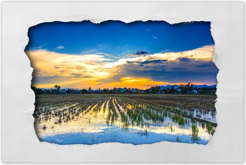 Poszterek 60x40 Kilátás Tájkép