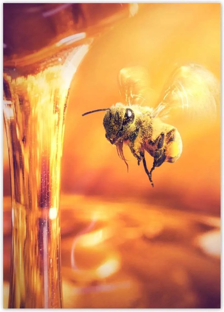 Poszterek 50x70 Csöpögő méz befőttes üvegből