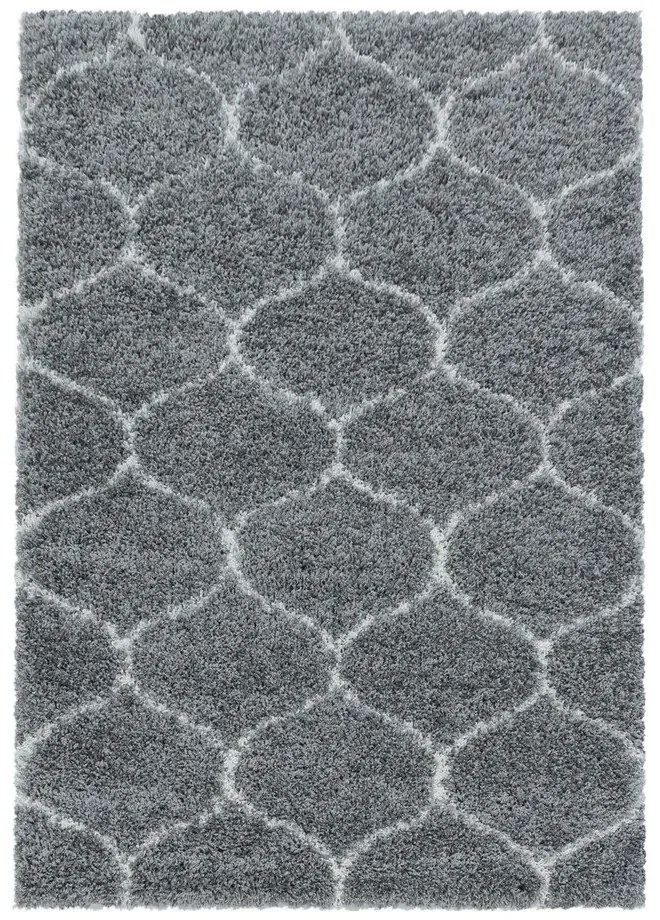 Szürke szőnyeg 160x230 cm Salsa – Ayyildiz Carpets