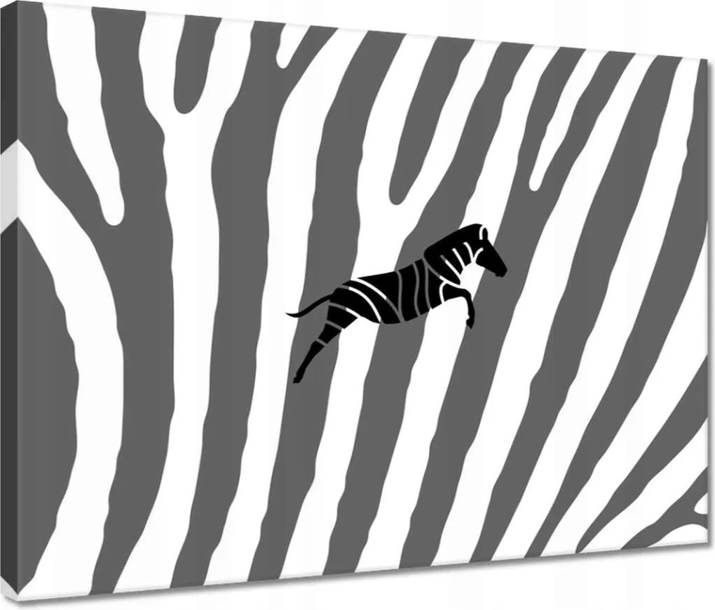 Vászonkép 40x30 Zebra csíkok