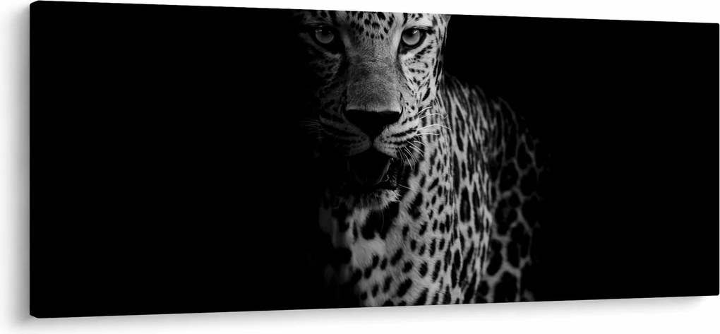 Kép - Egy leopárd portréja (120x50 cm)