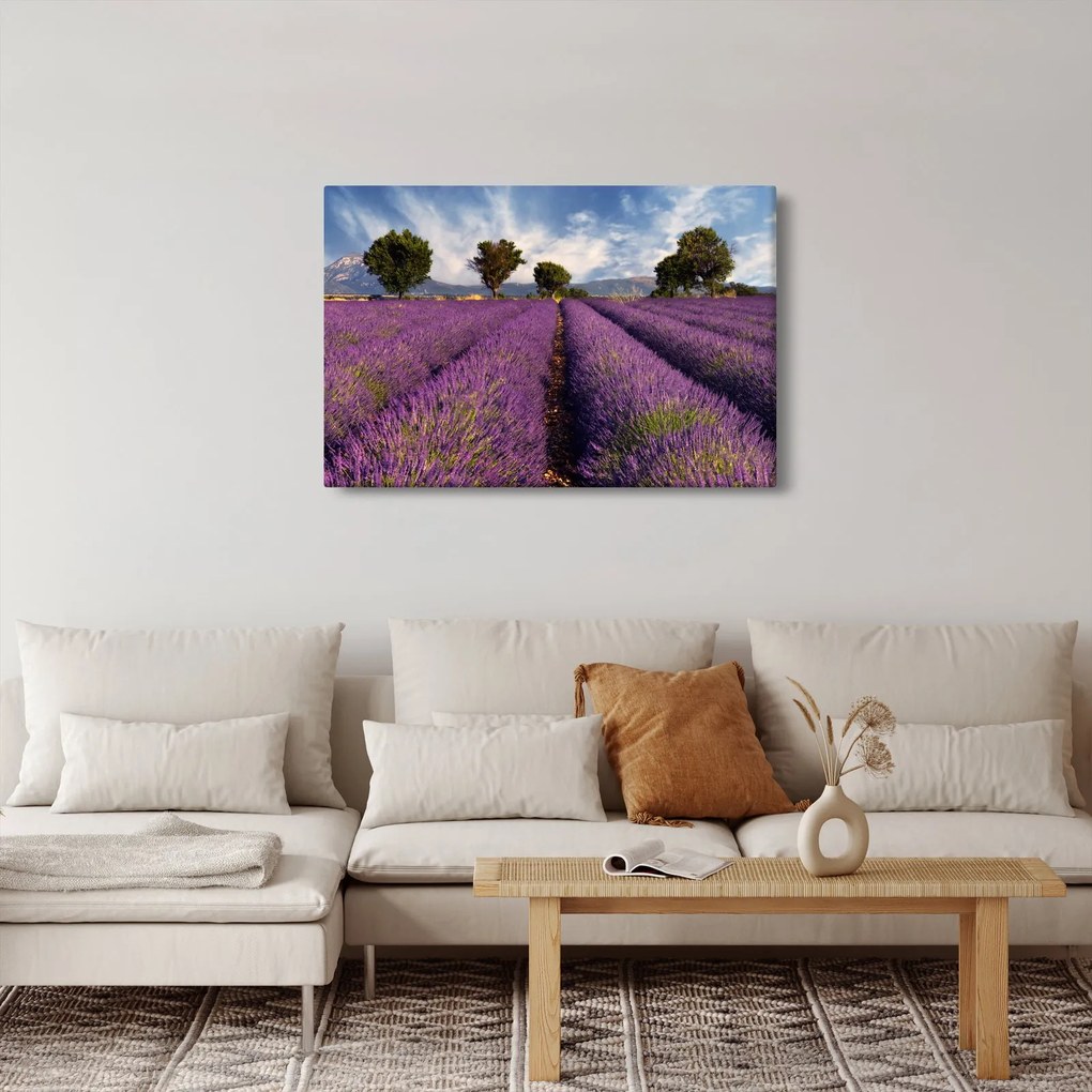 Kép - Levendula mező és hegyek (90x60 cm)