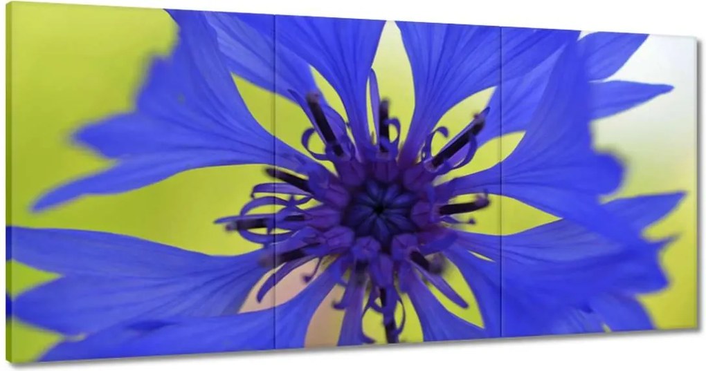 Festmények 180x90 Chaber