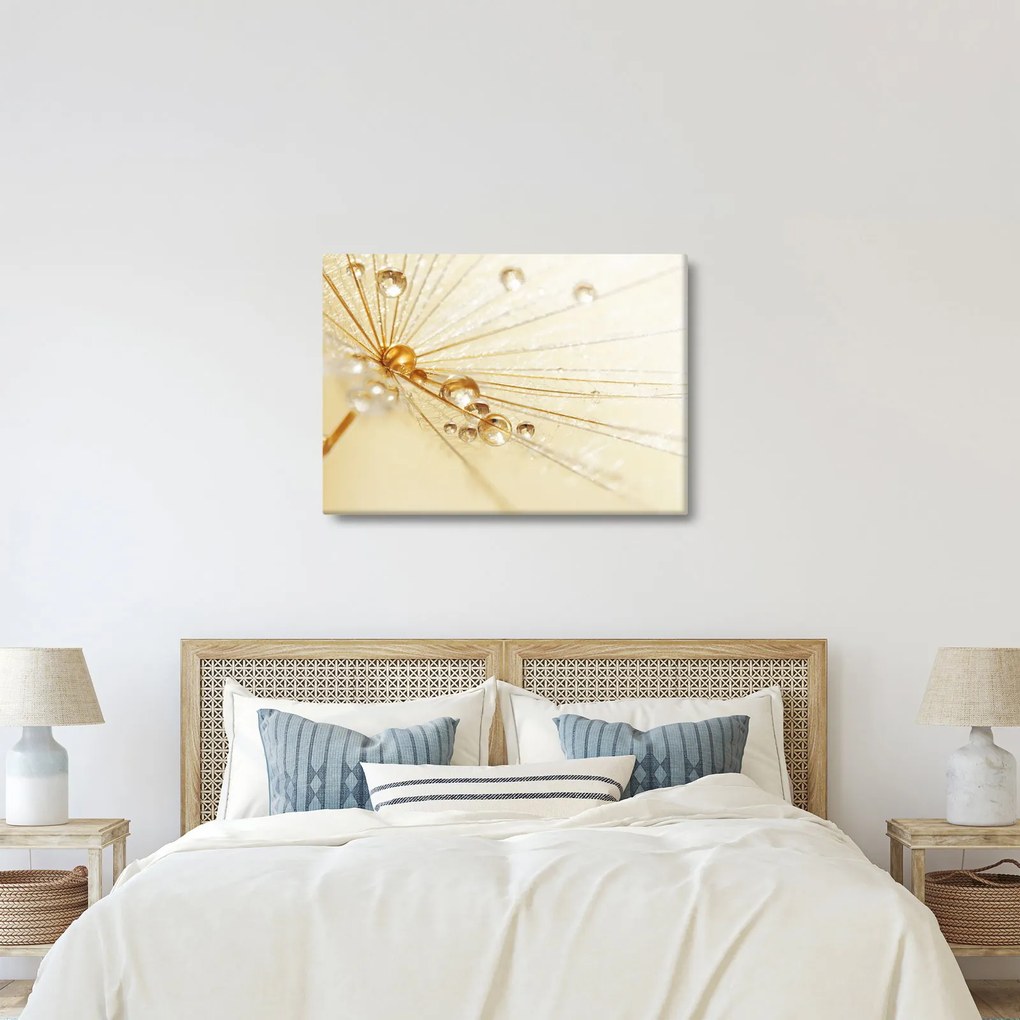 Kép - Makro fotó pitypangról (70x50 cm)