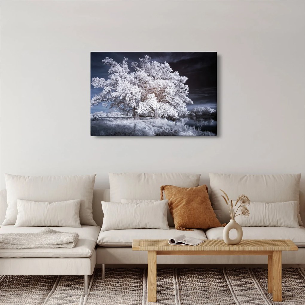 Kép - Hófehérke fa (90x60 cm)