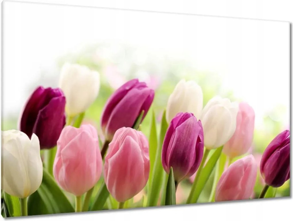 Vászonkép 120x80 Gyönyörű tulipánok