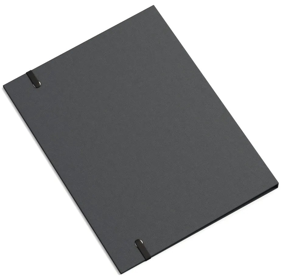 Karton rendszerező dokumentumokhoz Paulina Restore Paper Laminate A4 – Bigso