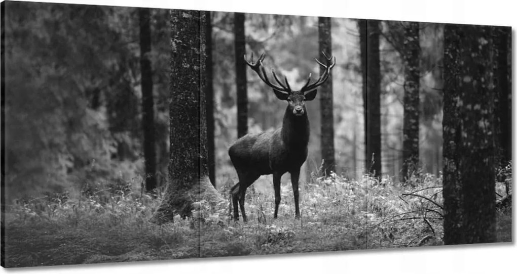 Vászonkép 60x30 Szarvas az erdőben B&amp;w