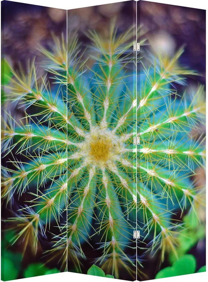 Paraván - Kaktusz (126x170 cm)