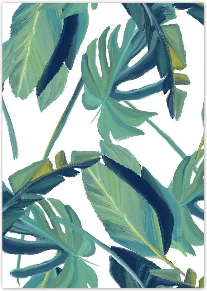 Poszterek A4 Pion Monstera Levelek levél