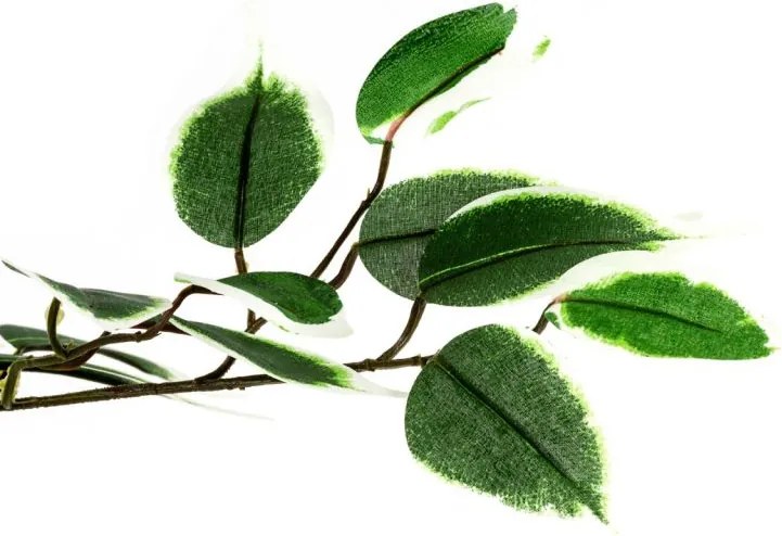 PLANTASIA Műnövény fikusz 160 cm