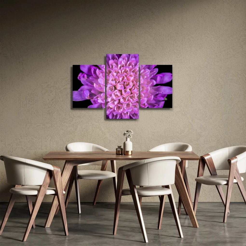 Részletes virágkép (90x60 cm)