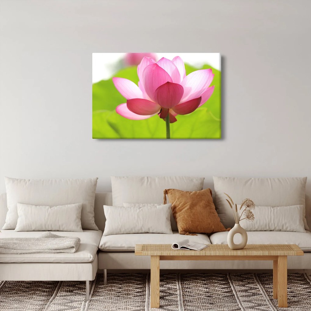 Lótuszvirág kép (90x60 cm)