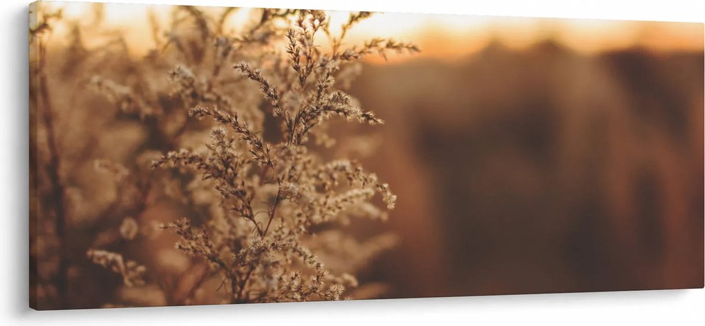 Virágzó fű képe (120x50 cm)