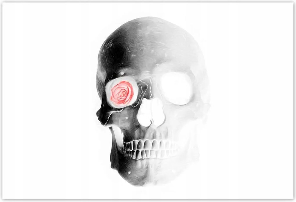 Poszterek 185x125 Koponya rózsával Rózsa