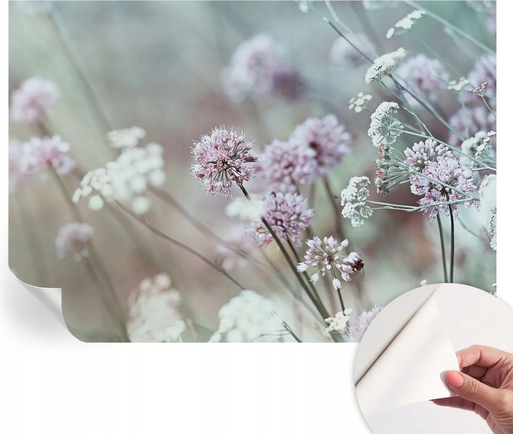 Öntapadós tapéta Divatos 3D fali ragasztóval Mezei virágok 208x146 cm