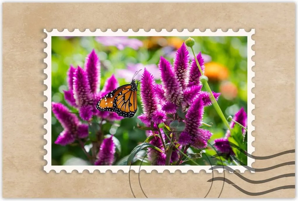 Poszter 60x40 Pillangó a virágokon