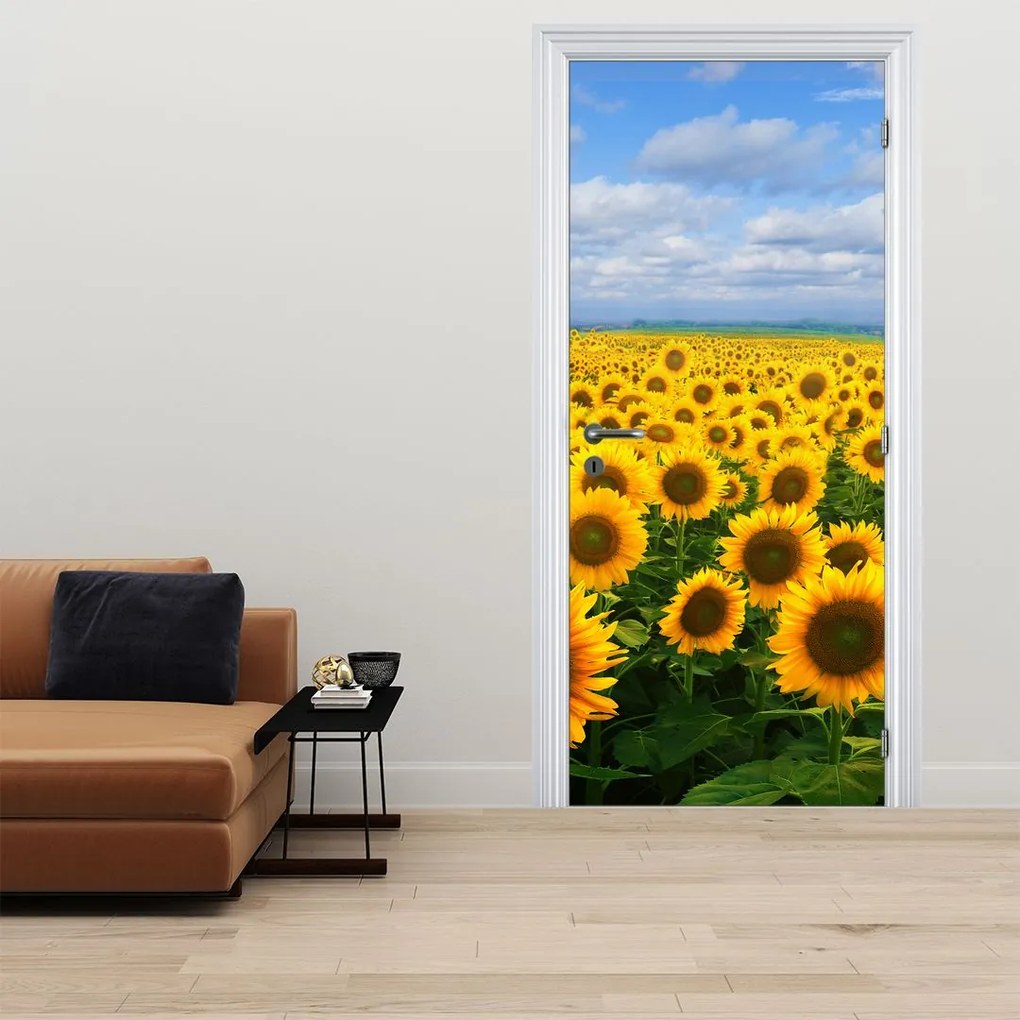 Fotótapéta ajtóra - Napraforgó mező (95x205cm)